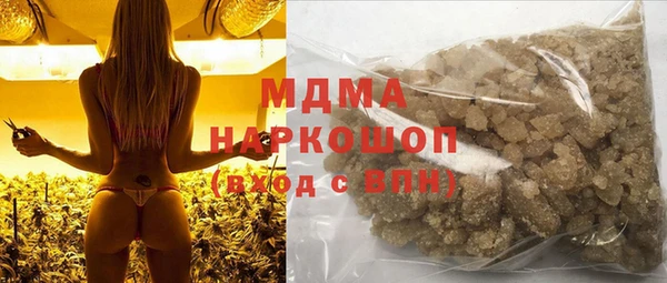 spice Богородицк